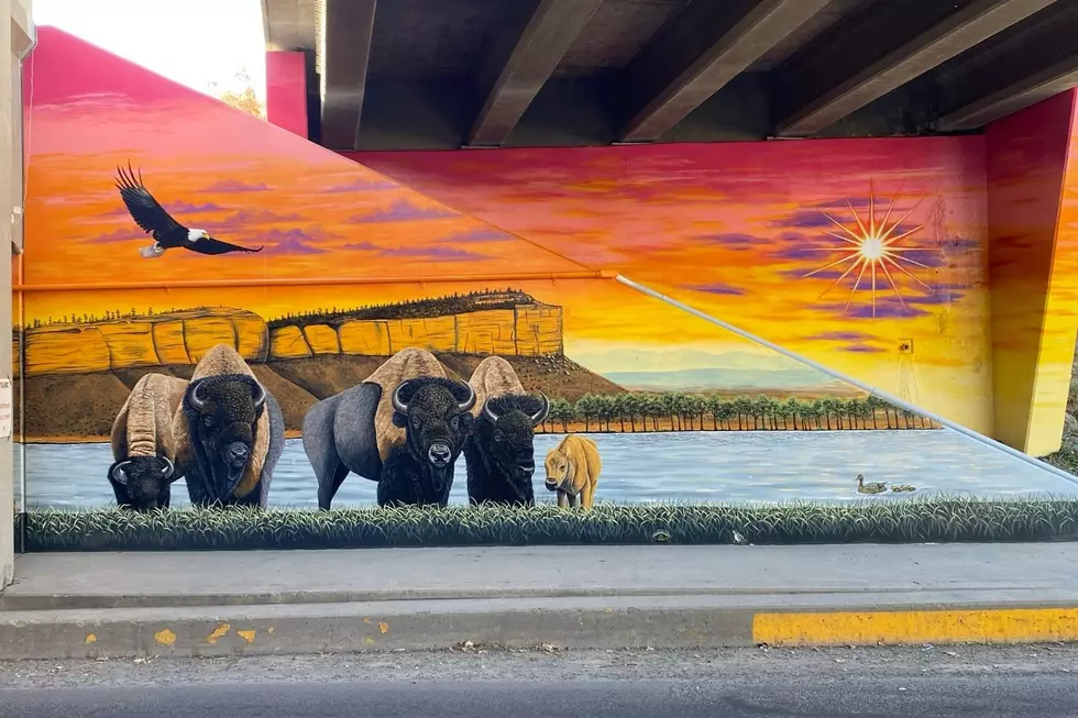 Billings Artist Spent Over 1,000 Hours on 6th St Mural