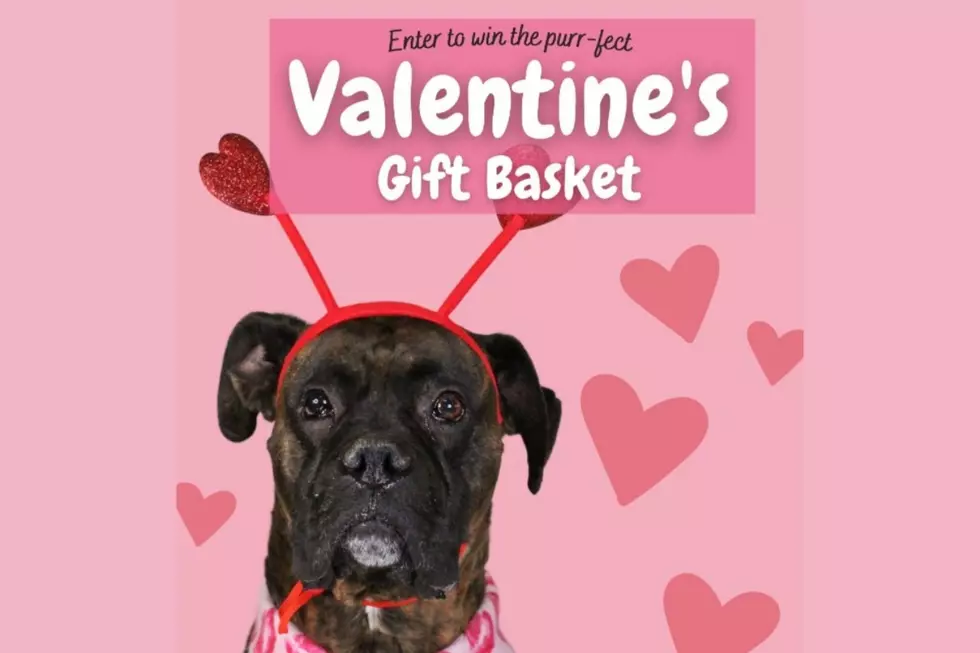 Billings Animal Shelter Hosting Virtual Valentine's Raffle