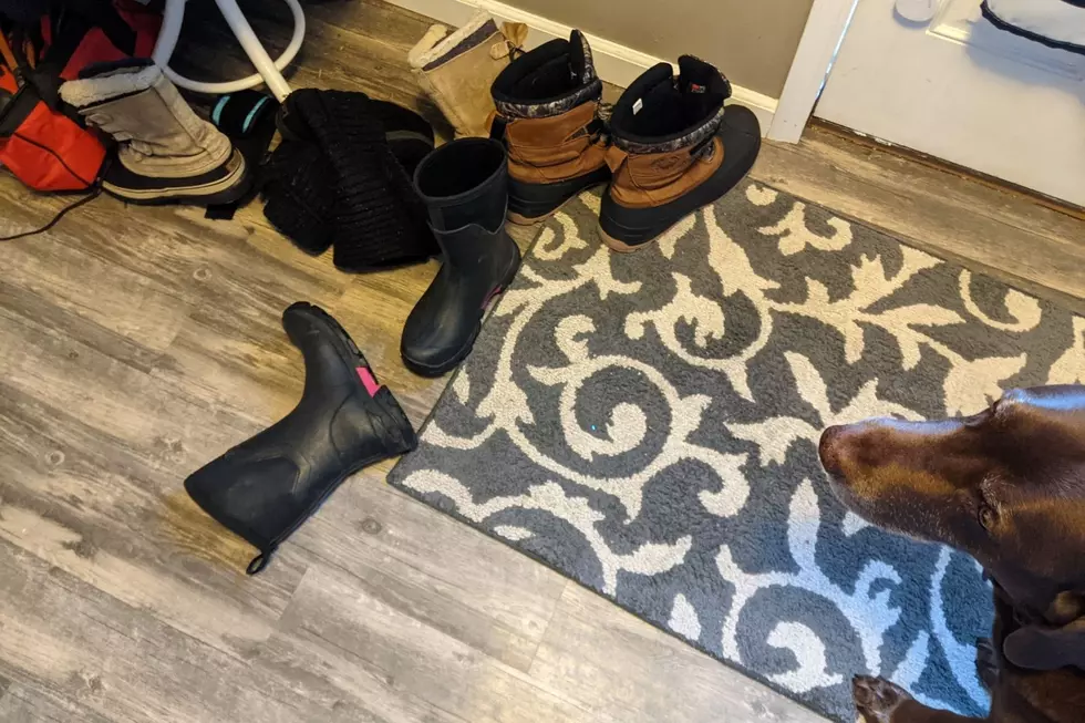 Behold, the Montana Winter Boot Pile