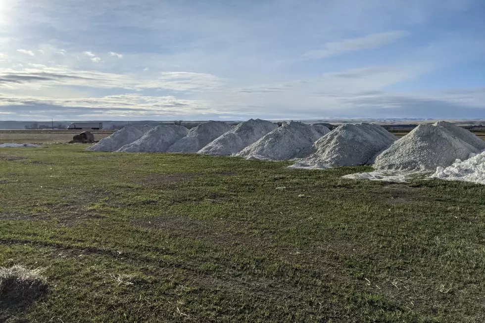 What are these Weird Piles of White Stuff in Montana Fields?