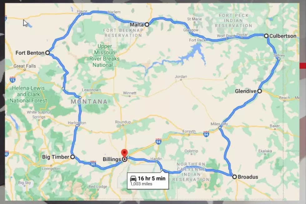 Credit: Dog Tag Buddies / Google Maps
