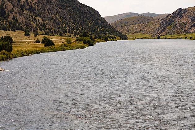 Nearly 1,000 Dead Fish Found Floating in Popular Montana River