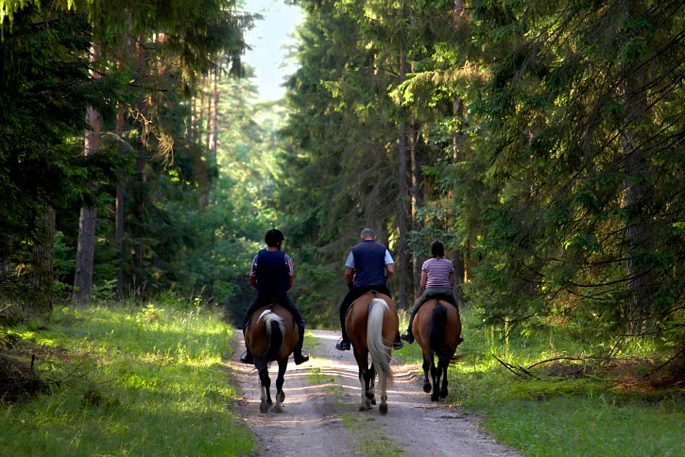 Here's One Way to Get In Free at Yellowstone National Park