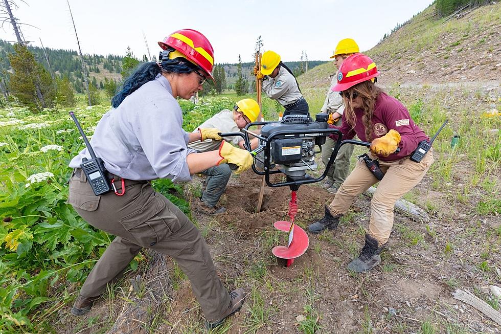 12 Teens Spent Their Summer Volunteering in Yellowstone Park