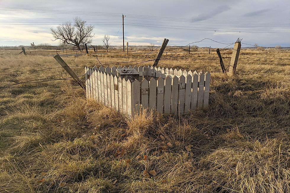 Death in the Wild West: Child&#8217;s 1901 Headstone Sits Alone in Montana Field