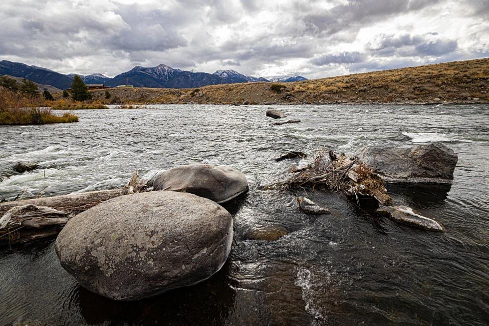 Volunteers Help Rescue Madison River Fish After Dam Malfunction