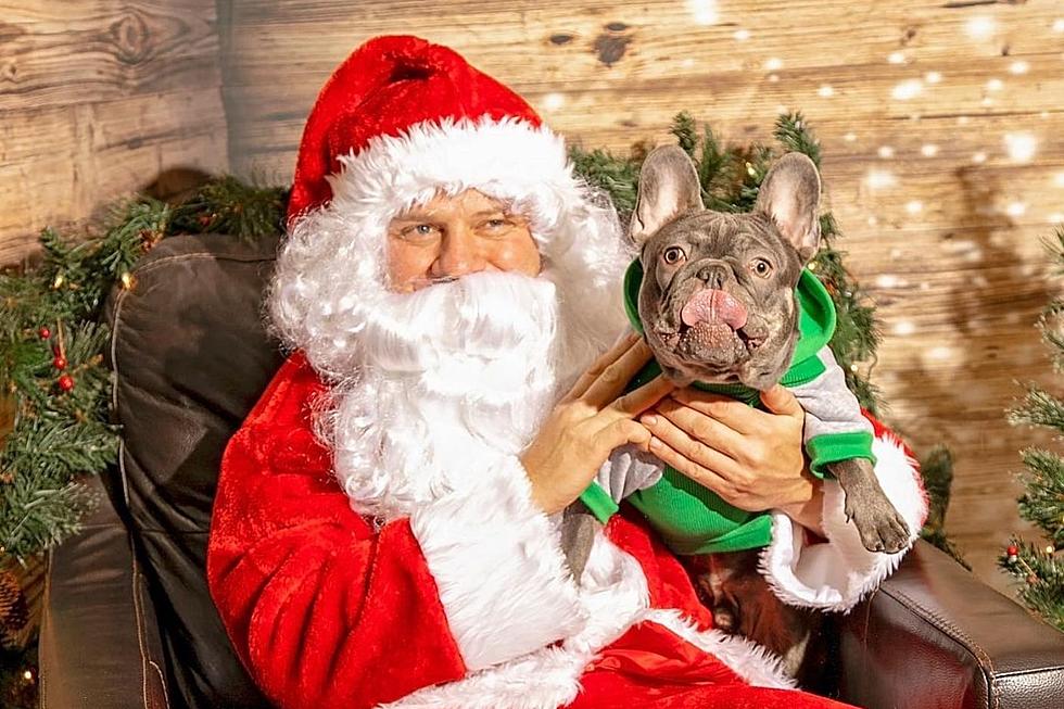 Here's Where to Get Free Pet Pictures with Santa in Billings