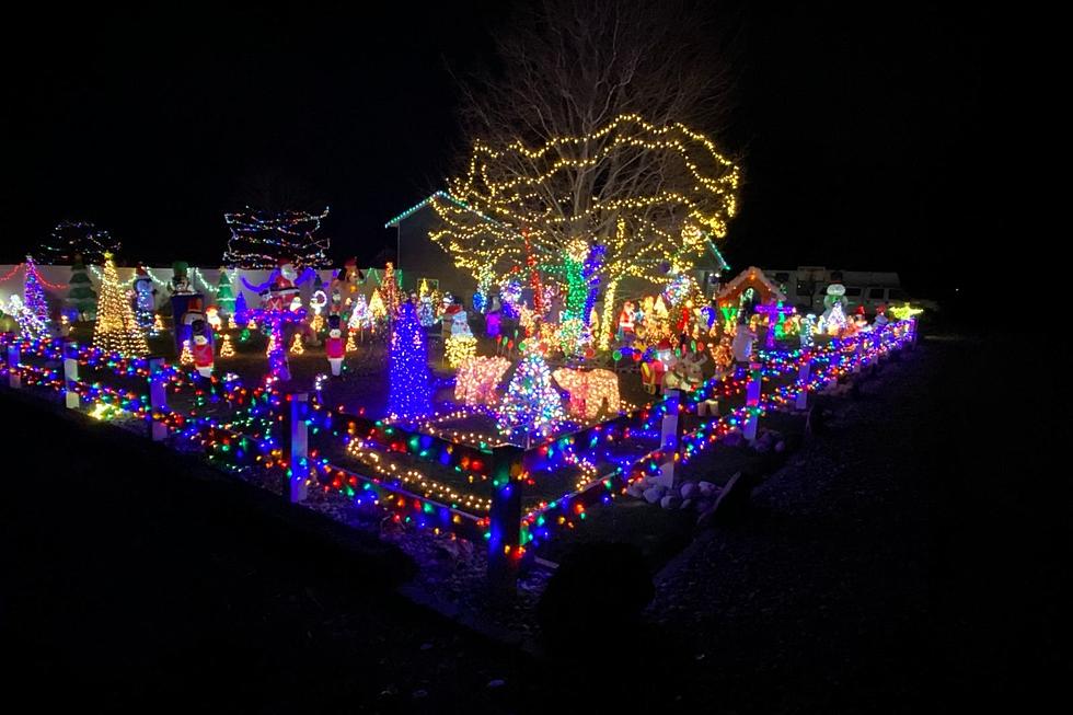 Heartwarming K9 Connection for Billings Family&#8217;s Christmas Lights