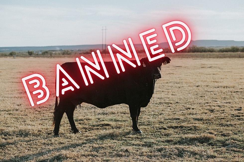 A Montana Ranch Frustrated With Outrageous Facebook Rules