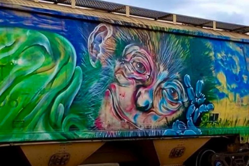 Stuck at a MT Train Crossing? Relax and Enjoy the Graffiti Show