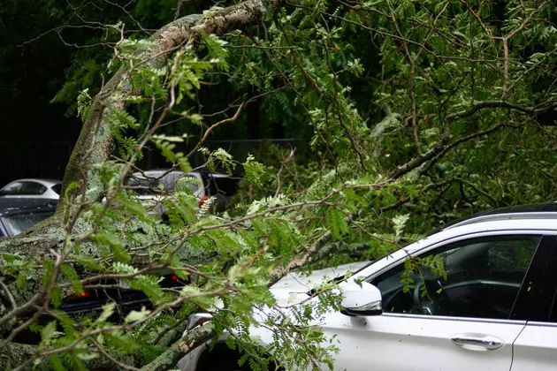 Clean Up. Storm Debris Collection Days Begin Saturday in Billings