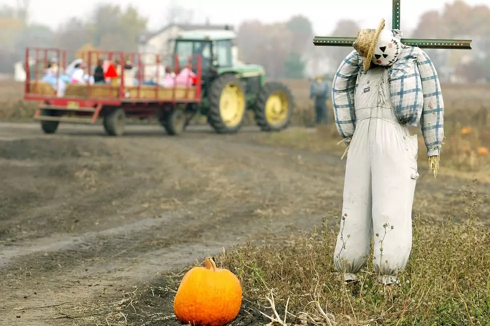 Pumpkin Patches, Hay Rides and Corn Maze. Fall Fun in the Billings Area