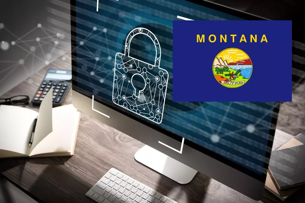Your Privacy Matters in Montana. Voters said YES to Amendment