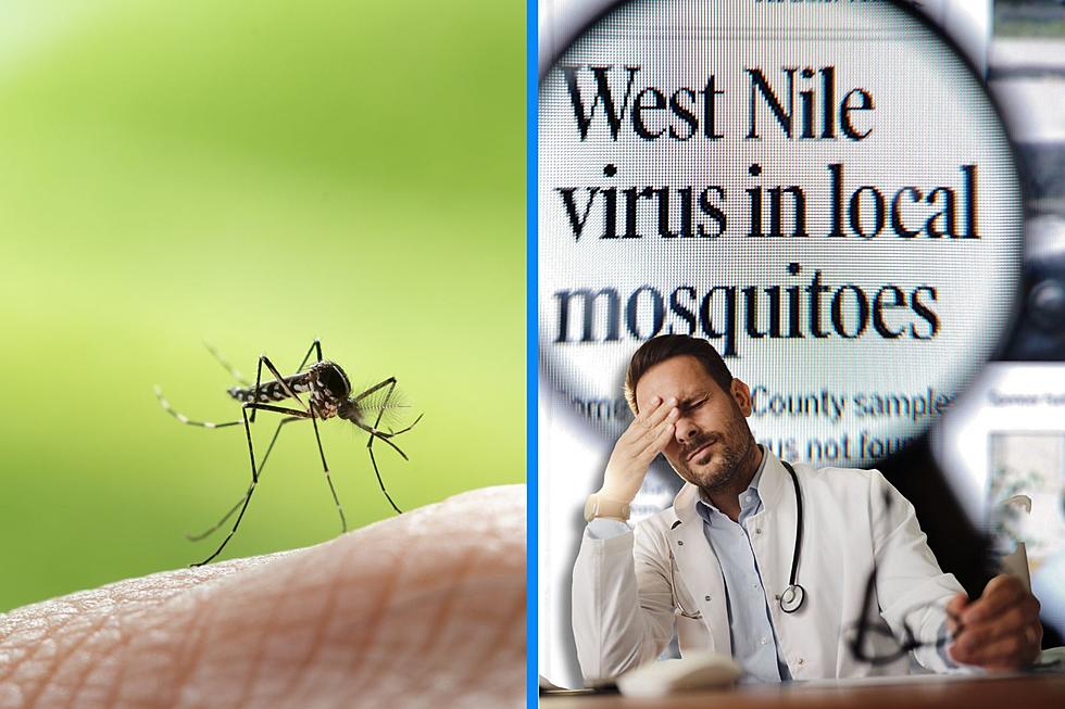Remember West Nile Virus? It’s Been Around Billings This Year