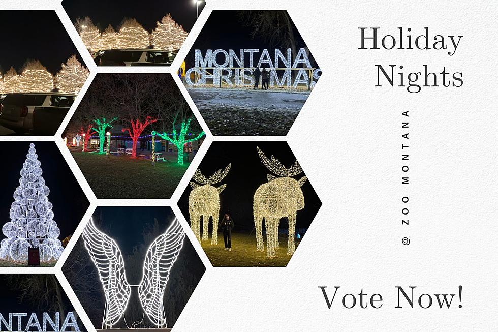 Zoo Montana in Billings Nominated In 10 Best Light Shows