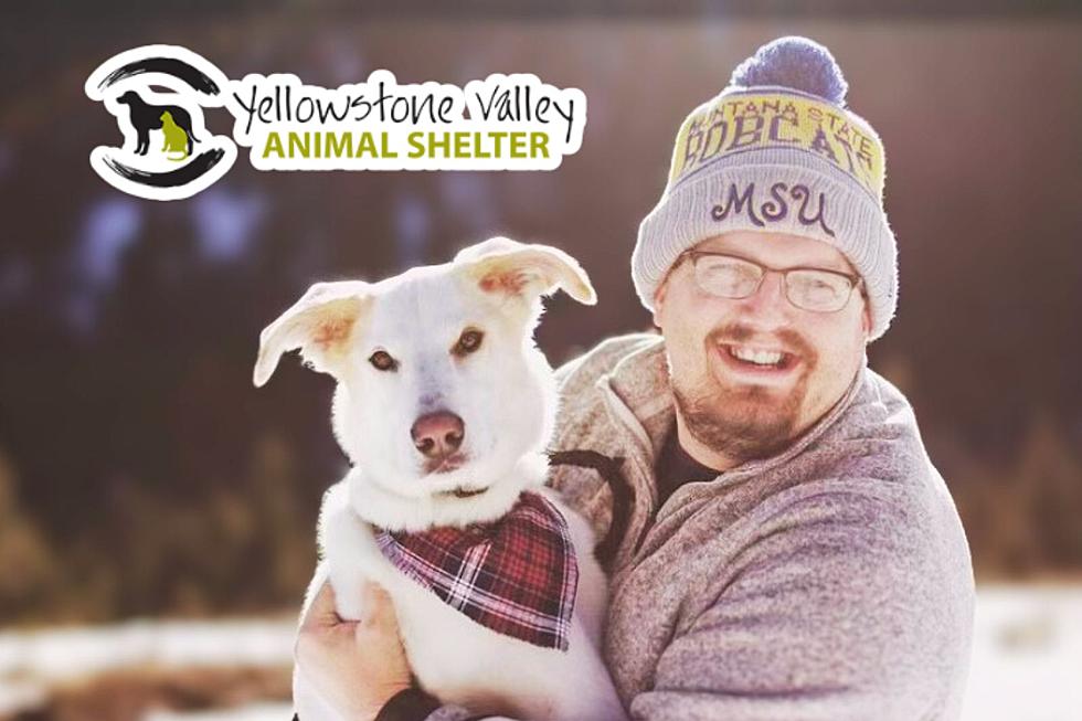 Billings Animal Shelter Secures Local Radio Host As Board President