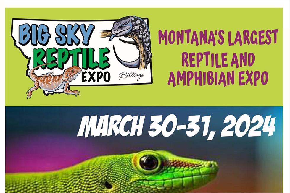 2024 Big Sky Reptile Expo Returns In March To Billings