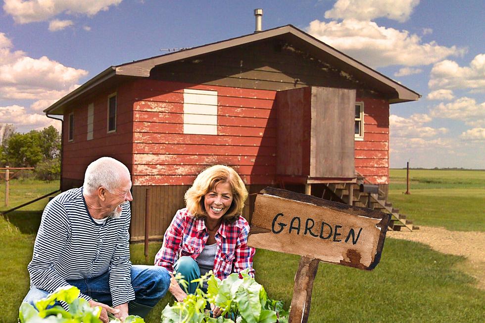 Spring Is Under A Month Away in Montana. Ready To Garden?