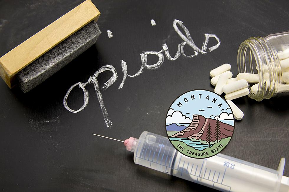 Montana Gets $1M For Treatment & Recovery From Opioids
