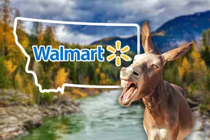 20 Hilarious Montana Walmart Reviews