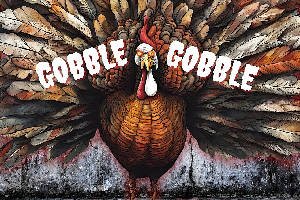Gobble Trouble: Billings Turkey’s Reign of Terror