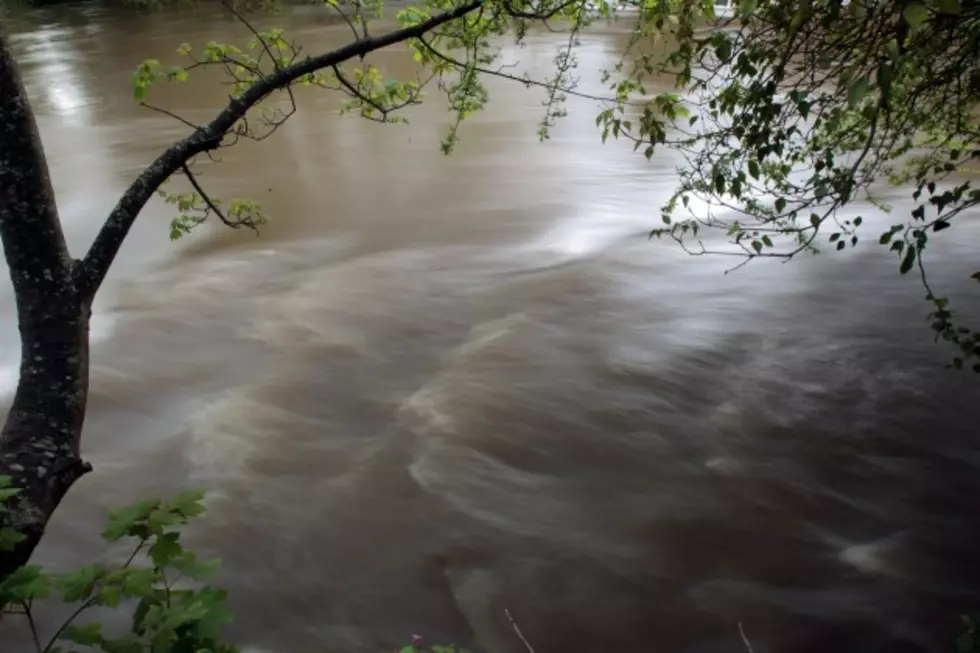 Four Rescued From Yellowstone River