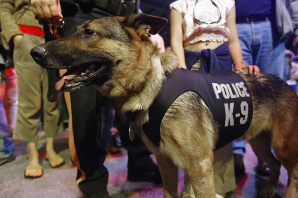 Red Lodge Returns K-9 to Cop