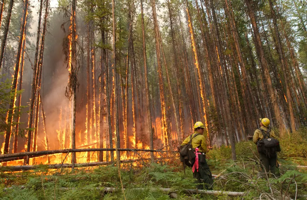 Howe Ridge Fire Grows