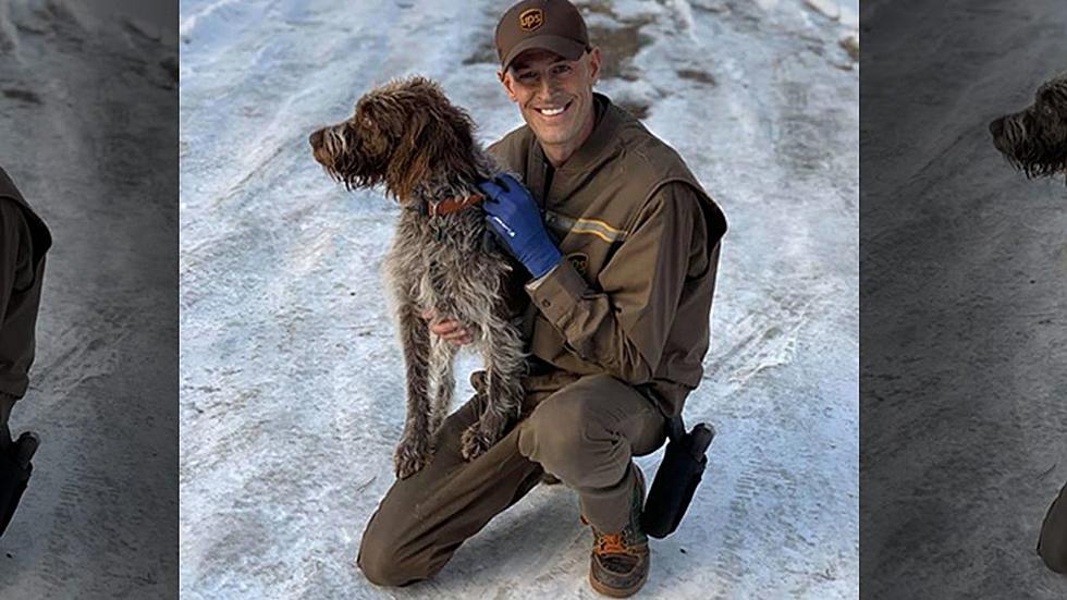 Viral: Montana UPS Driver Saves Dog from Ice