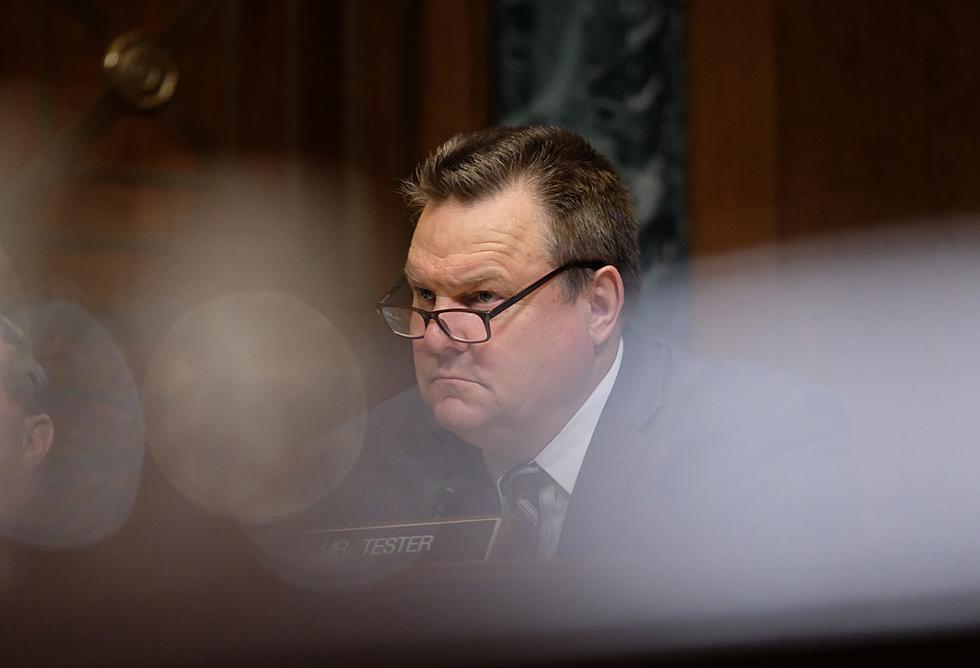 Tester: A Wall Would Make Border Security...Worse? 