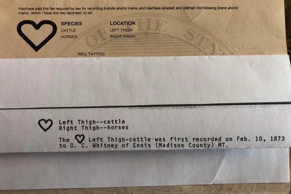 Heart-Shaped Cattle Brand Sells for $36K in Joliet, Montana