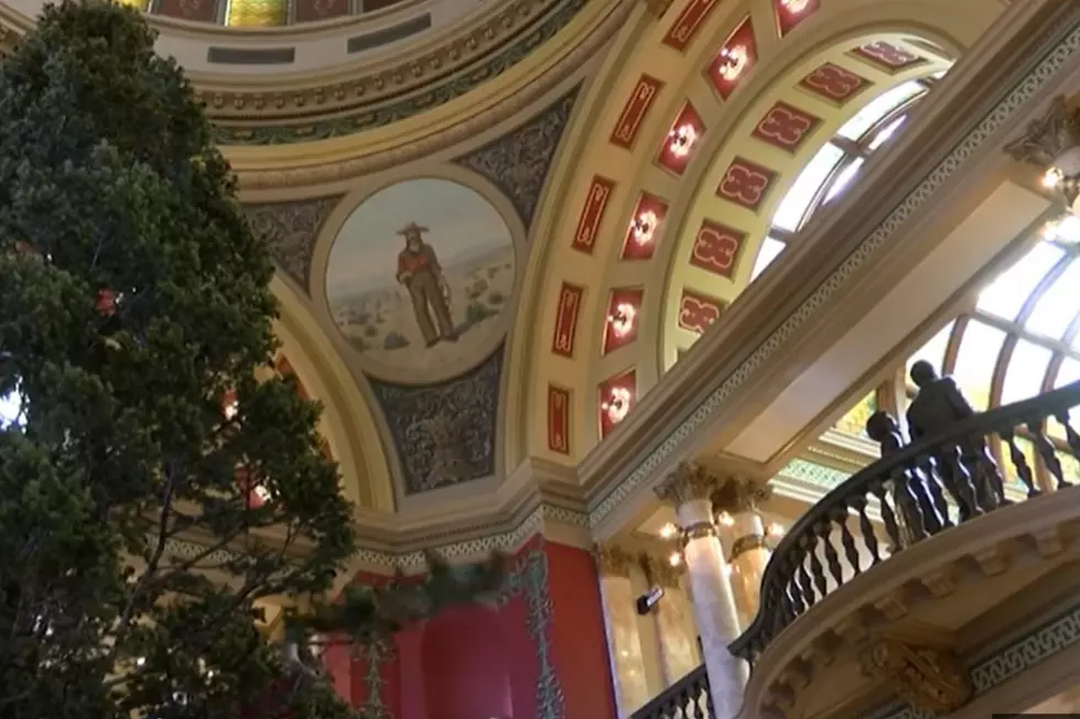 No Capitol Christmas Tree, Bullock Admin Blames COVID
