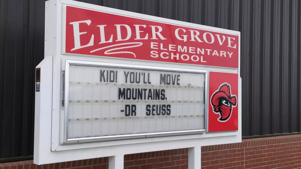 An Impressive Display at Elder Grove School