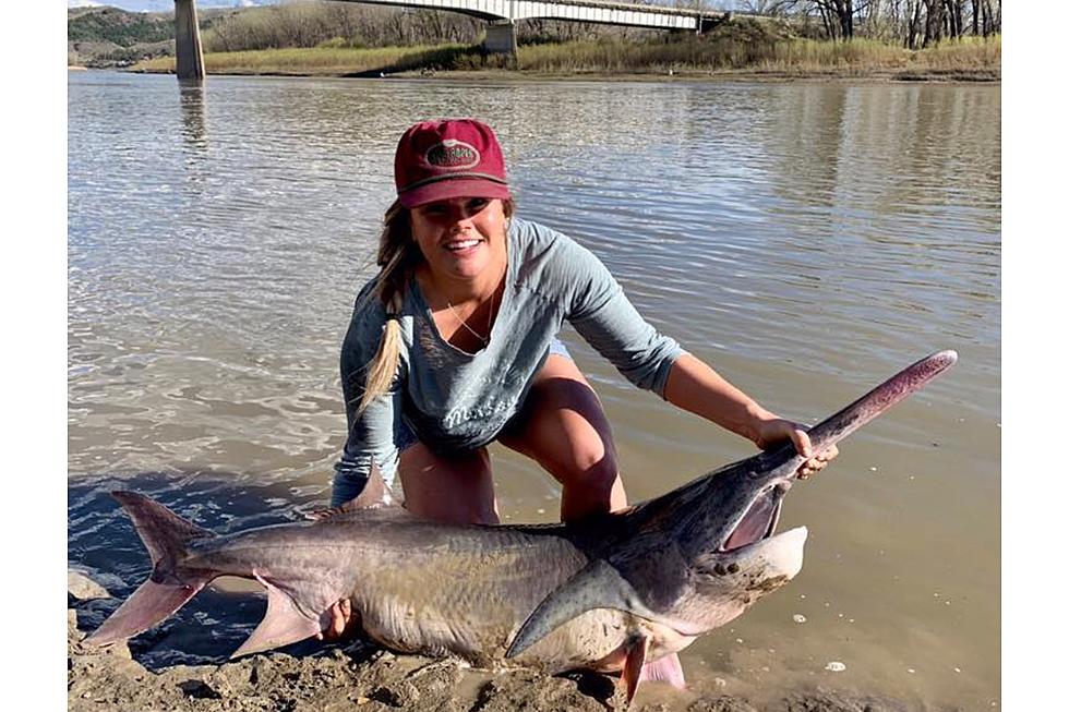 Billings Woman Snags Paddlefish on Upper Missouri River