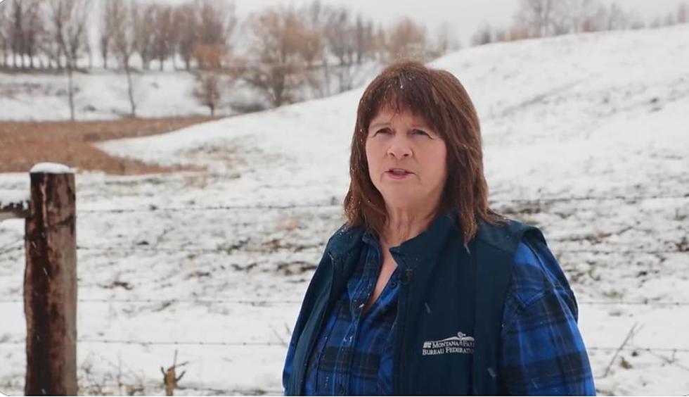 Montana Farmer Talks Fertilizer Prices, Opposition to Biden&#8217;s BBB