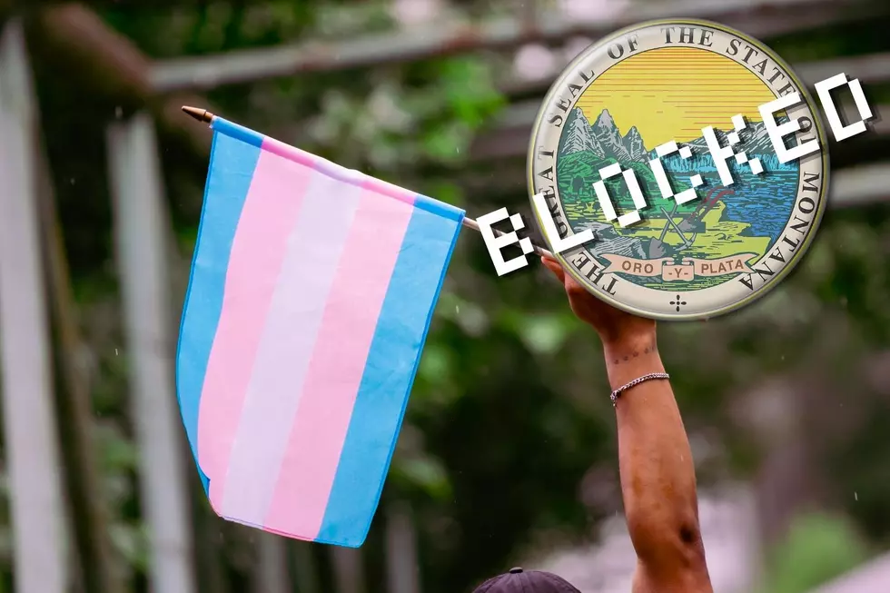 What are your Pronouns? Gender Change Ban in Montana Blocked by Judge