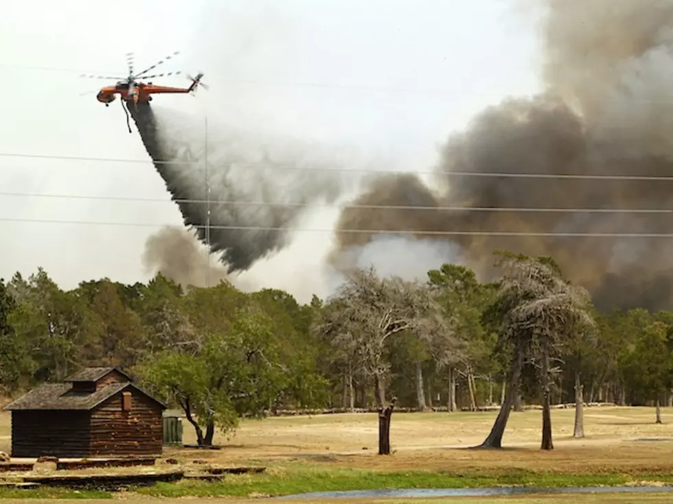 How is the U-S Forest Service doing?