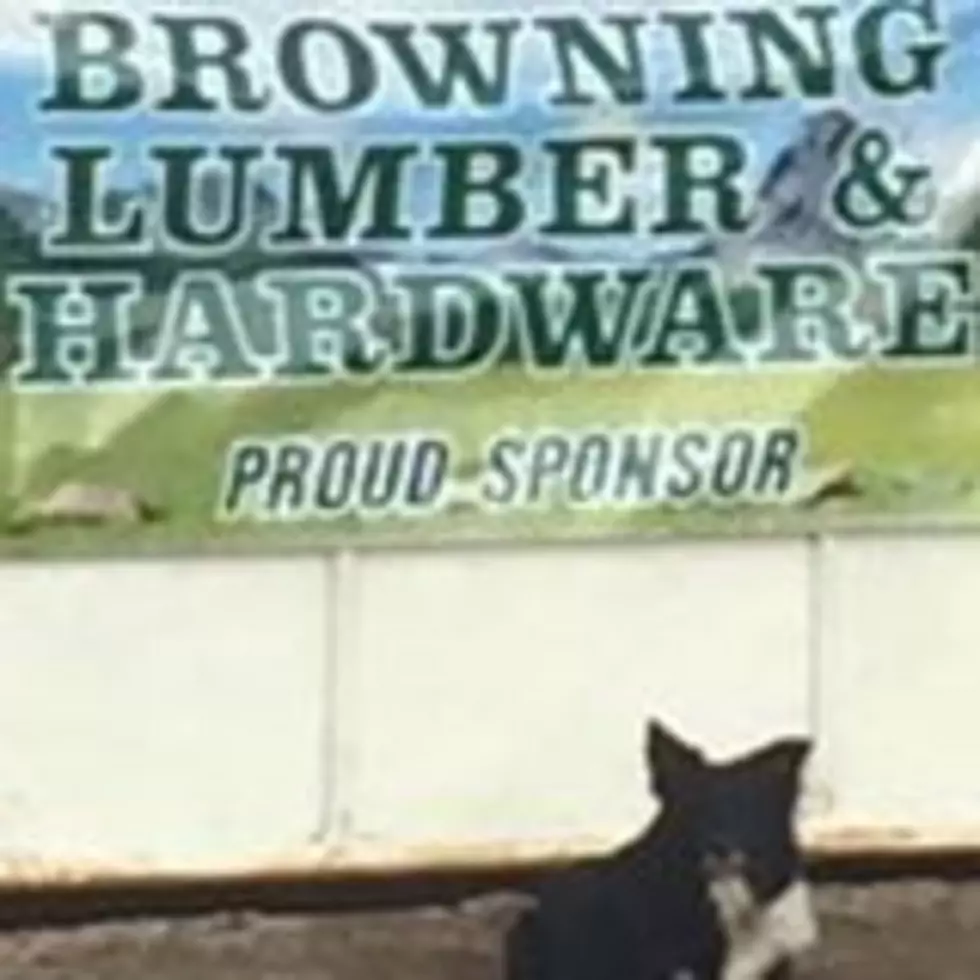 Browning Lumber and Hardware – Business of the Day