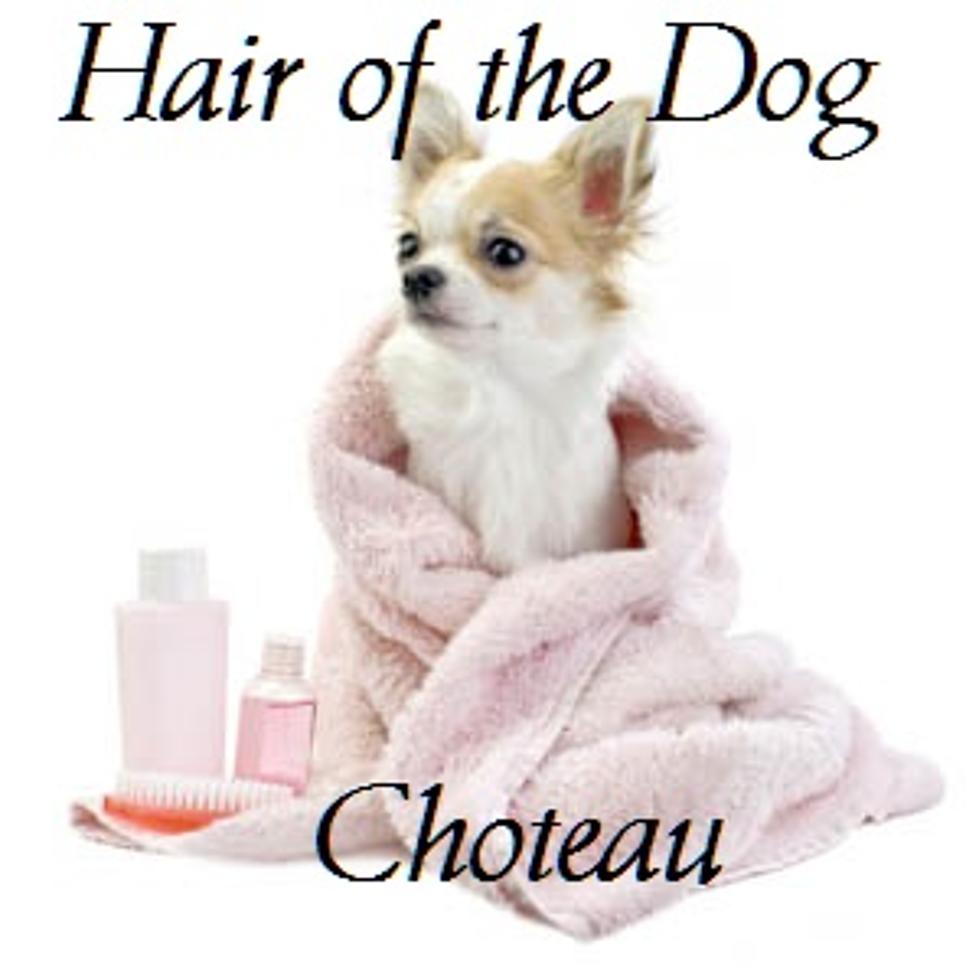 Hair of the Dog – Business of the Day