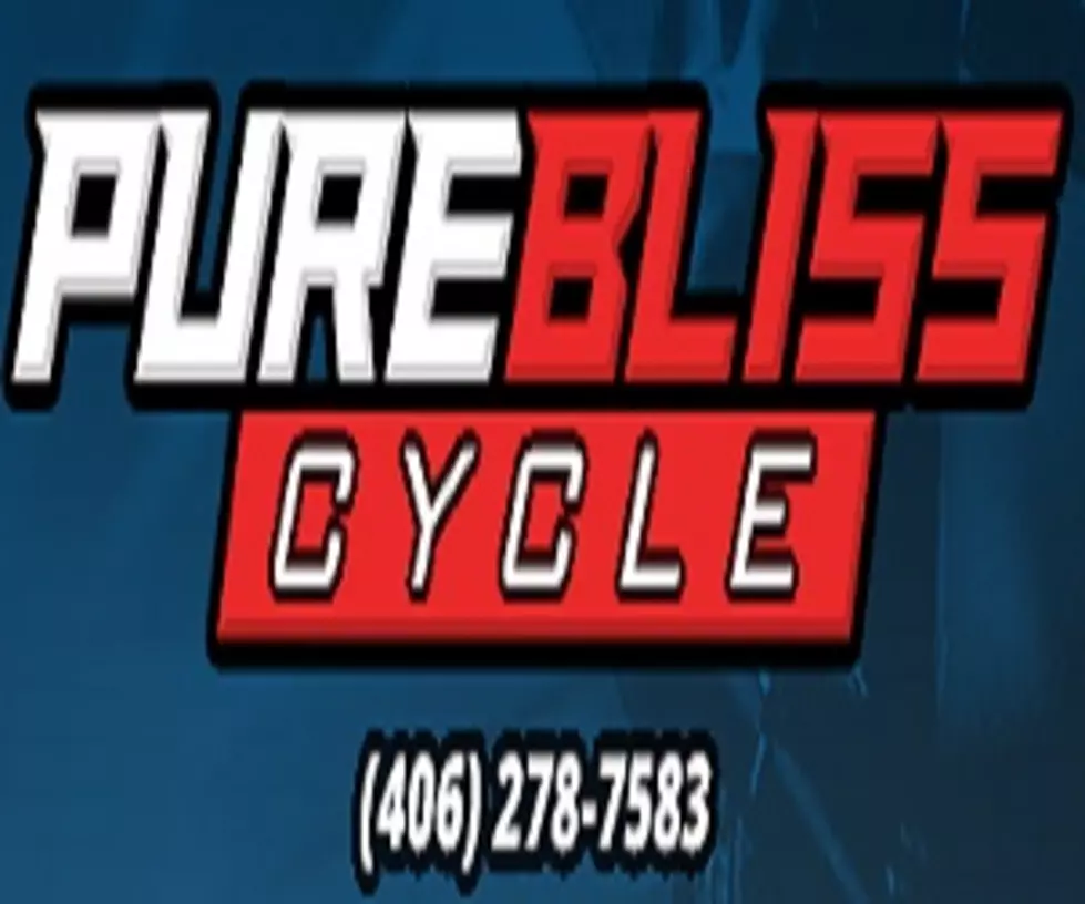 Pure Bliss Cycle – Business of the Day