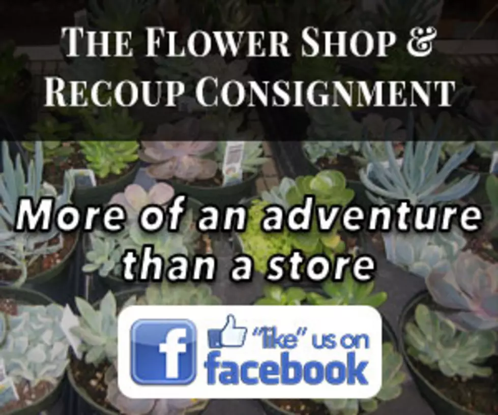 Recoup Consignments- Business of the Day