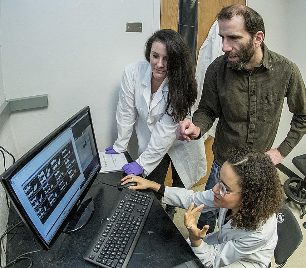Grant Allows UM to Expand Neuroscience Education Across Multiple Colleges