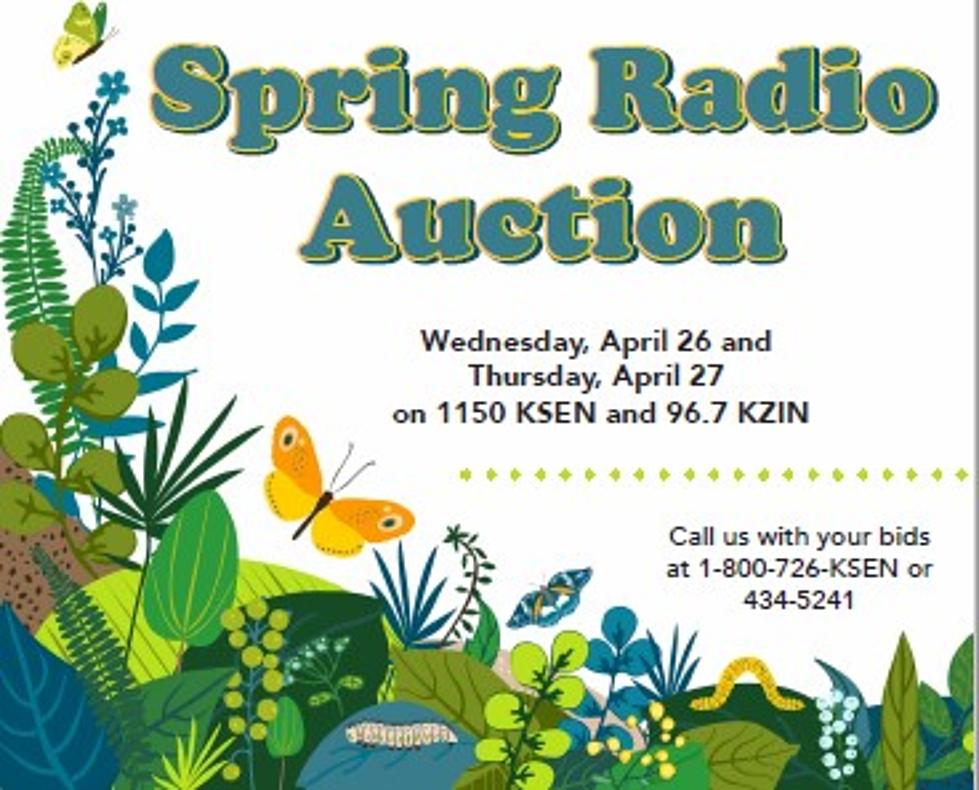 Here is a few of the Bigger Radio Auction items on Wednesday May 26th