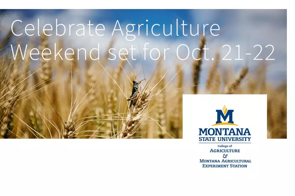 Montana State’s Annual Celebrate Agriculture Weekend Set for Oct. 21-22