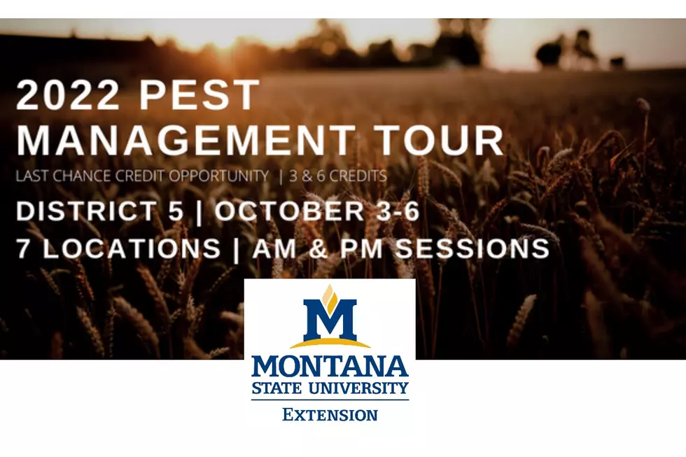 MSU Extension’s Pest Management Tour Across South Central Montana in October
