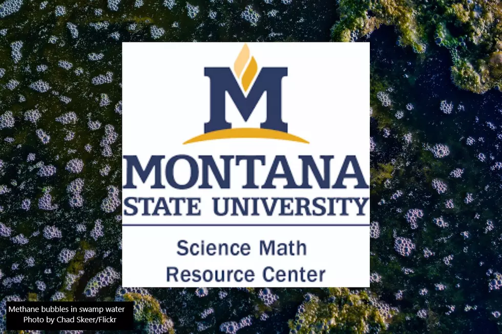 MSU Workshops Connect K-12 Teachers to STEM Research