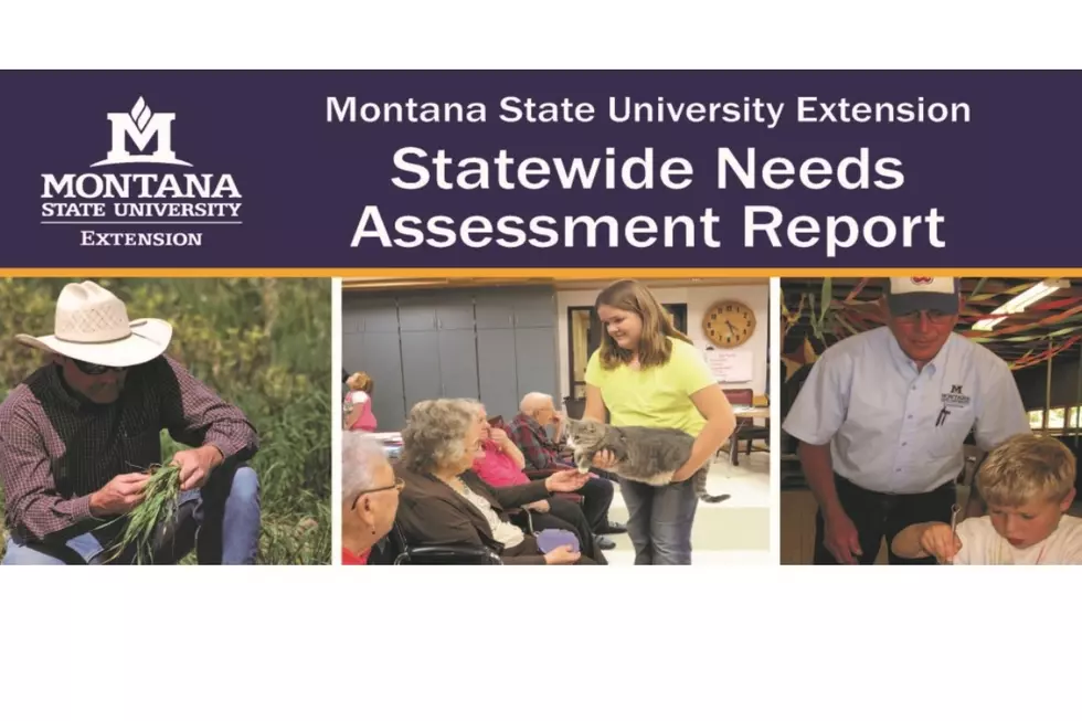 MSU Extension Publishes Results of Statewide Needs Assessment