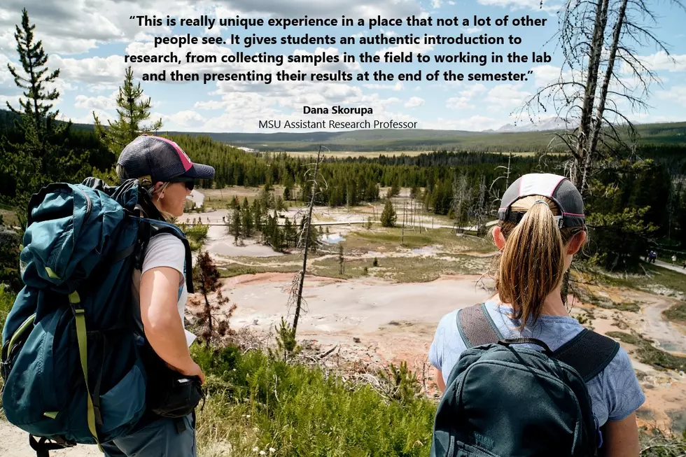 MSU Undergraduates Visit Yellowstone Backcountry for Unique Research Experience