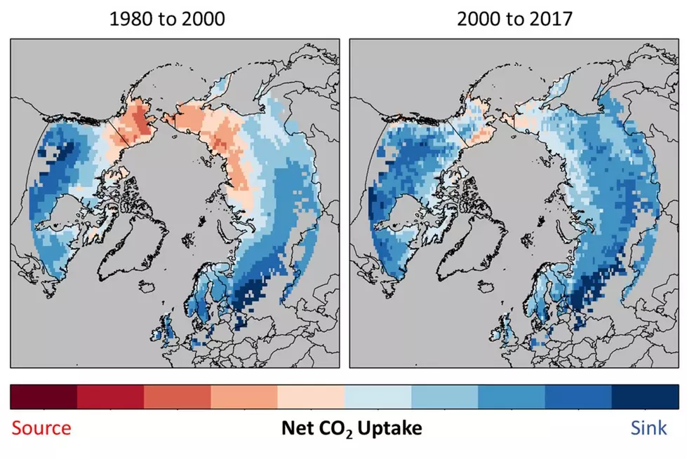 UM Study Finds Plant Growth Offsets Carbon Release of Thawing Permafrost