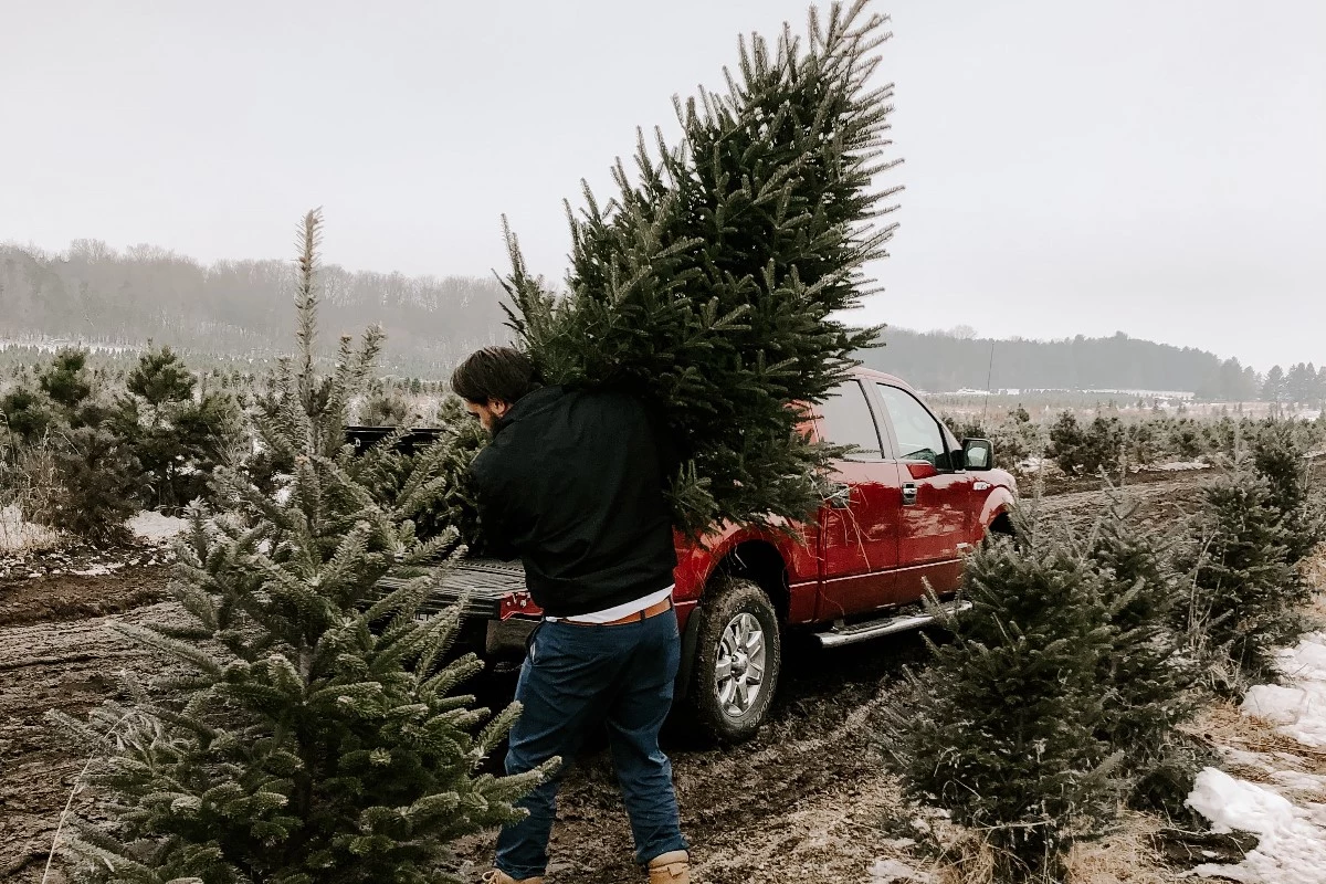 USDA Forest Service Christmas Tree Permits Available Online through